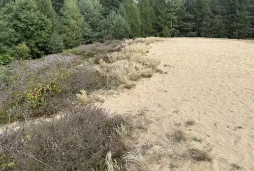 Přírodní památka Vesecký kopec u Sezemic