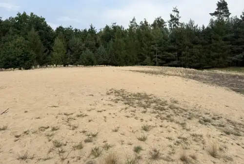 Přírodní památka Vesecký kopec u Sezemic