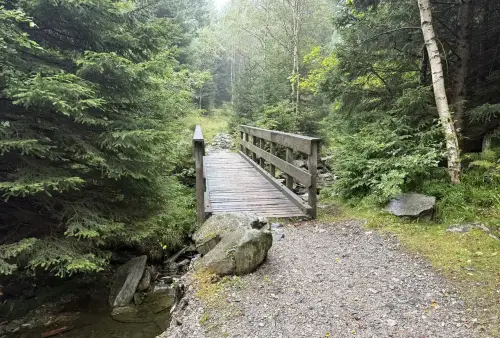 Výstup na Sněžku - lávka přes potok