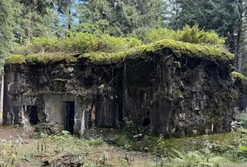 Rokytnice_v_Orlickych_horach_tvrz_Hanicka_13_original