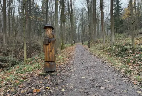 Čarovný les u Šumperka