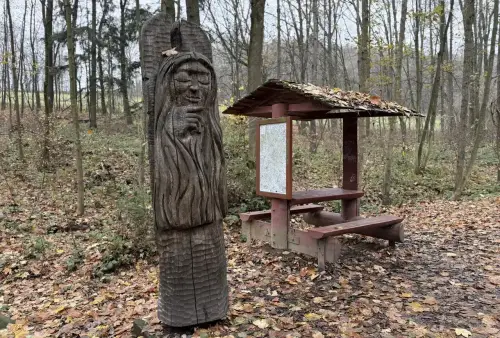 Čarovný les u Šumperka