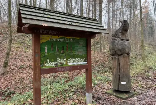 Čarovný les u Šumperka