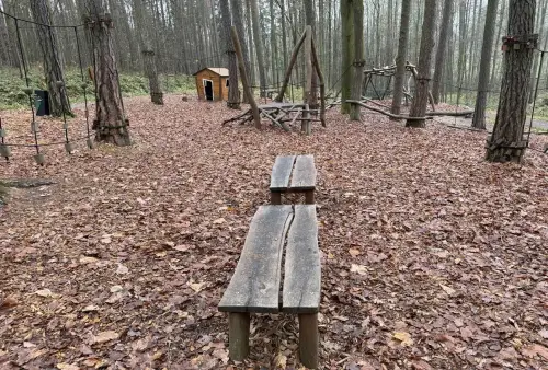 Čarovný les u Šumperka