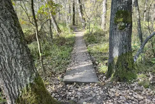 Naučná stezka Cesta kolem Světa v Třeboni