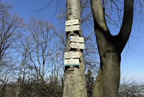 Zřícenina hradu Edelštejn
