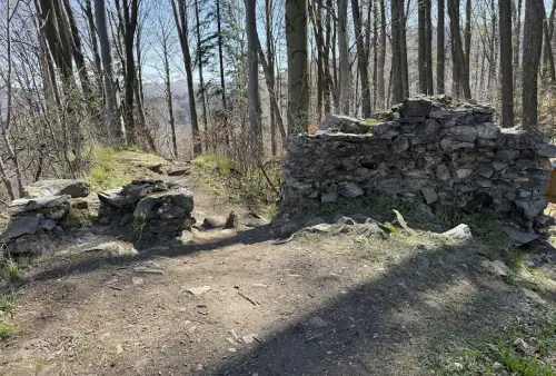 Zřícenina hradu Edelštejn