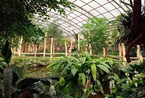 Do Safari ve Dvoře Králové nad Labem místo do Afriky
