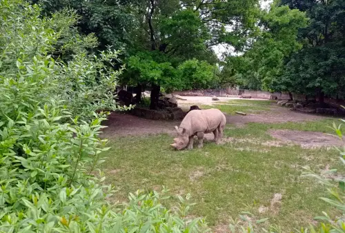 Do Safari ve Dvoře Králové nad Labem místo do Afriky