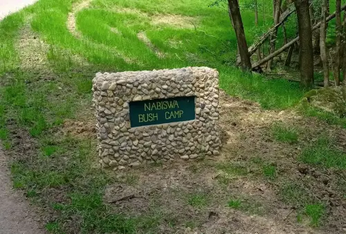 Do Safari ve Dvoře Králové nad Labem místo do Afriky
