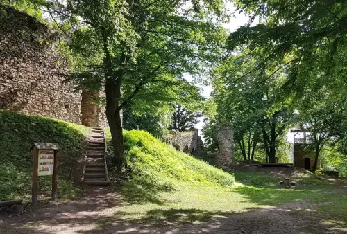 Zřícenina hradu Vikštejn