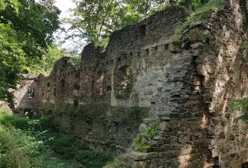 Zřícenina hradu Vikštejn