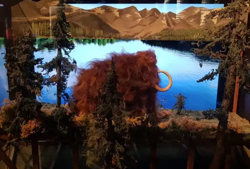 Muzeum Karla Zemana v Praze