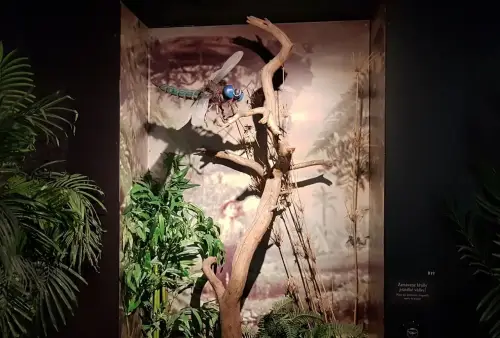 Muzeum Karla Zemana v Praze