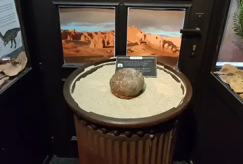 Muzeum Karla Zemana v Praze
