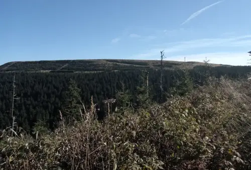 Výlet k Dlouhým stráním a dalším pokladům Jeseníků