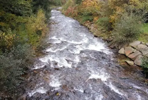 Dlouhé stráně a okolí