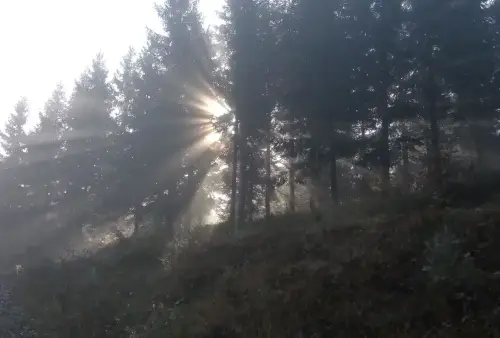 Dlouhé stráně a okolí