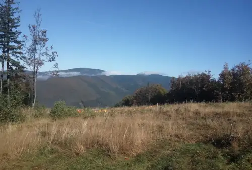 Dlouhé stráně a okolí