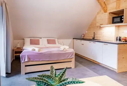 NONE apartmány a wellnes v Branné