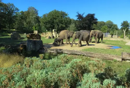 ZOO Praha