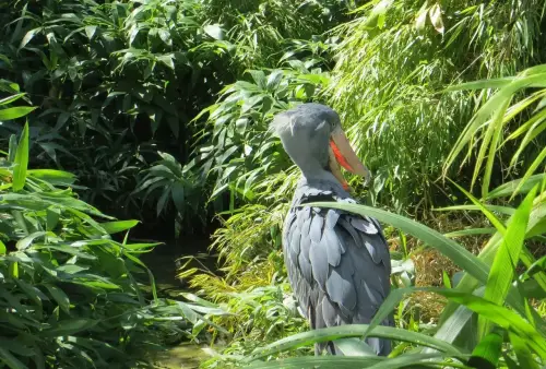 ZOO Praha