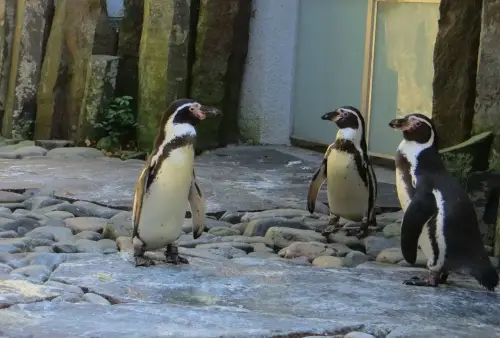 ZOO Praha
