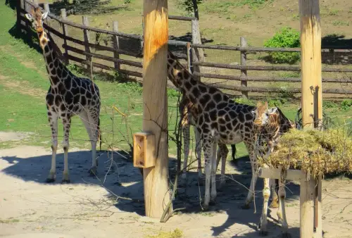 ZOO Praha
